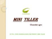 Mini Tiller (1)
