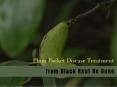 Plum pocket disease treatment-From Black Knot Be Gone PowerPoint PPT Presentation
