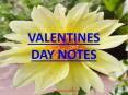 Valentines Day Notes PowerPoint PPT Presentation