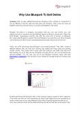 Why Use Bluepark To Sell Online PowerPoint PPT Presentation