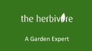 A Garden Expert