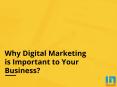 Why Digital Marketing is Important to Your Business PowerPoint PPT Presentation