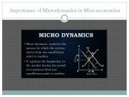 Importance of Microdynamics in Microeconomics