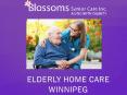 Elderly Home Care Winnipeg - Best Care Givers in Winnipeg PowerPoint PPT Presentation