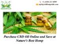 Searching For the Best Price to Buy CBD Oil?