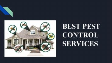 Best Pest Control Services In Gurgaon, Delhi, NCR