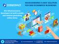 Woocommerce Is Best Solution For Smb Ecommerce Businesses PowerPoint PPT Presentation