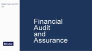 Financial Audit and Assurance