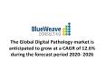 global Digital Pathology market PowerPoint PPT Presentation