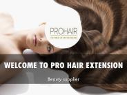PRO HAIR EXTENSION Presentation