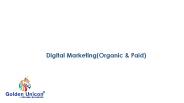 SEO  Company ,