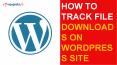 How to Track File Downloads on WordPress Site PowerPoint PPT Presentation