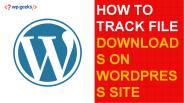 How to Track File Downloads on WordPress Site