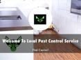 Local Pest Control Service Presentation PowerPoint PPT Presentation
