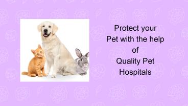 Protect your Pet with the help of Quality Pet Hospitals