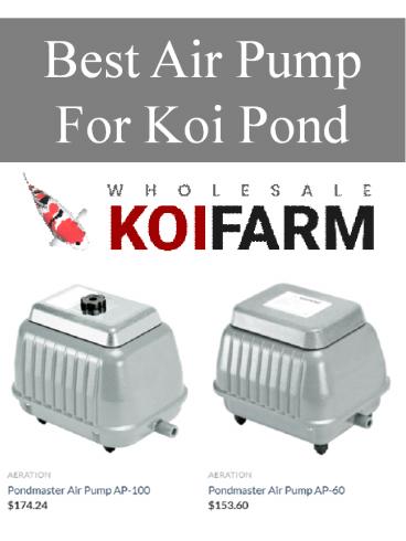Best Air Pump For Koi Pond