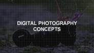 Digital Photography