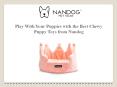 Play With Your Puppies with the Best Chewy Puppy Toys from Nandog PowerPoint PPT Presentation