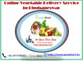 Online Vegetable Delivery Service in Bhubaneswar PowerPoint PPT Presentation