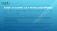Benefits of Sleeping on a Natural Latex Mattress (1) PowerPoint PPT Presentation