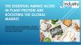 THE RISE OF THE PLANT PROTEIN MARKET. PowerPoint PPT Presentation