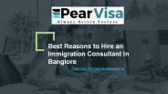 Reasons to hire an immigration consultant (1)