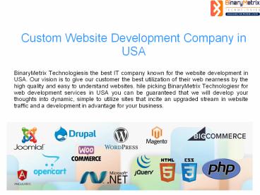 Custom Website Development Company in USA