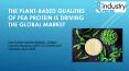 Pea Protein Market – Global Industry Dynamics PowerPoint PPT Presentation