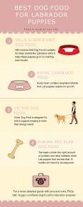 Best Dog Food for Labrador Puppies PowerPoint PPT Presentation