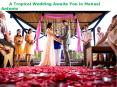 A Tropical Wedding Awaits You in Manuel Antonio PowerPoint PPT Presentation
