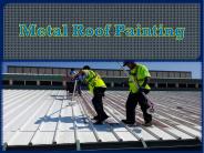 Metal Roof Painting