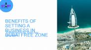 Benefits Of Setting A Business In Dubai Free Zone