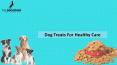 Dog treats for healthy care PowerPoint PPT Presentation