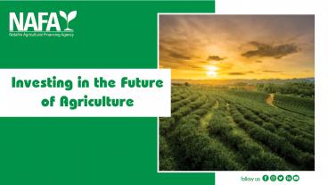 Netafim Agricultural Financing Agency