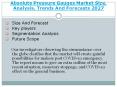 Absolute Pressure Gauges Market Size, Analysis, Trends And Forecasts to 2027 PowerPoint PPT Presentation