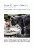 Reasons Why Automatic Cat Feeder is Good For Your Cat? PowerPoint PPT Presentation
