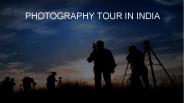 Photo Tour