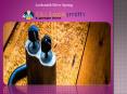 Locksmith Silver Spring PowerPoint PPT Presentation