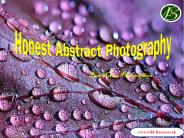 Honest Abstract Photography