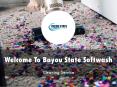 Bayou State Softwash Presentation PowerPoint PPT Presentation