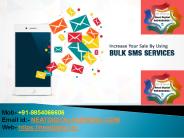 Get the Bulk SMS Services in Assam