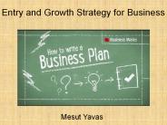 Mesut Yavas | Entry and Growth Strategy for Business