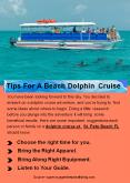 Tips For A Beach Dolphin Cruise PowerPoint PPT Presentation