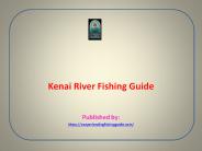 Kenai River Fishing Guide