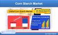Corn Starch Market, & Forecast, by Production, Countries, Companies PowerPoint PPT Presentation