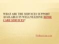 What are the services support available in Wellnezzone Home Care Services? PowerPoint PPT Presentation