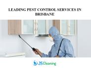 Leading Pest Control Services in Brisbane