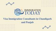 Immigration Consultant Near Me