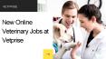 New Online Veterinary Jobs at Vetprise PowerPoint PPT Presentation