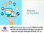 Hire The Professional Website Designing Company in India (1)